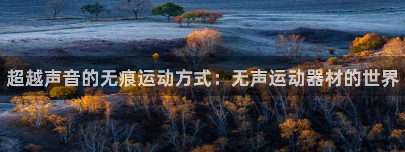 征途国际集团官网首页：超越声音的无痕运动方式：无声运