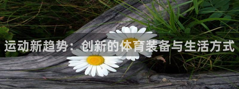 征途国际集团