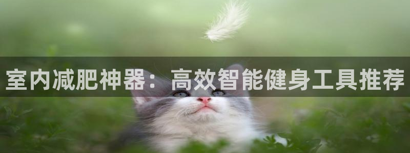 征途国际娱乐网站