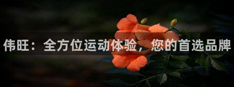 征途国际娱乐下载：伟旺：全方位运动体验，您的首选品牌