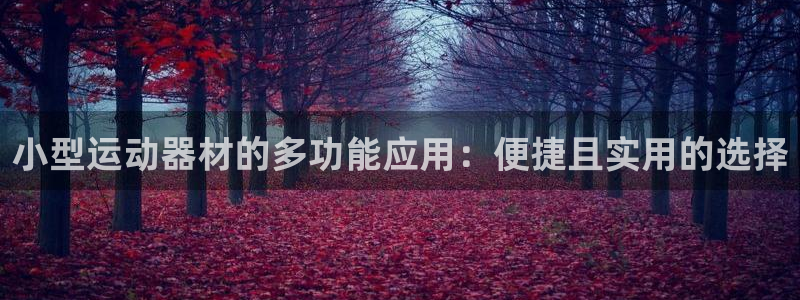 征途国际平台注册要钱吗是真的吗：小型运动器材的多功能