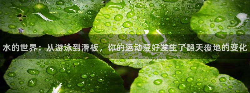 征途国际官网：水的世界：从游泳到滑板，你的运动爱好发生了翻天