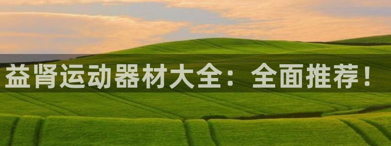 征途国际招商电话是多少：益肾运动器材大全：全面推荐！