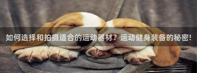 征途国际新能源