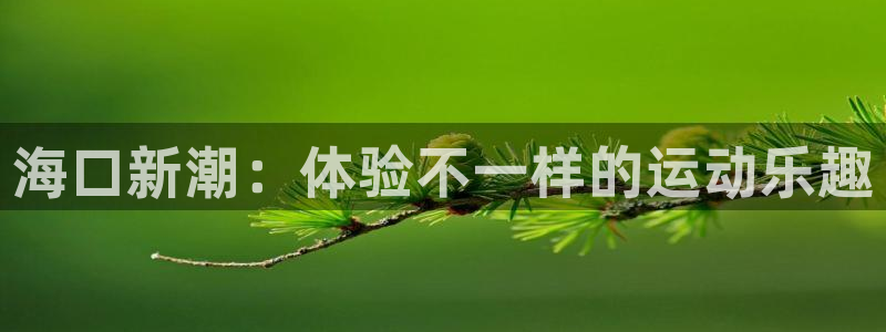 征途国际代理：海口新潮：体验不一样的运动乐趣