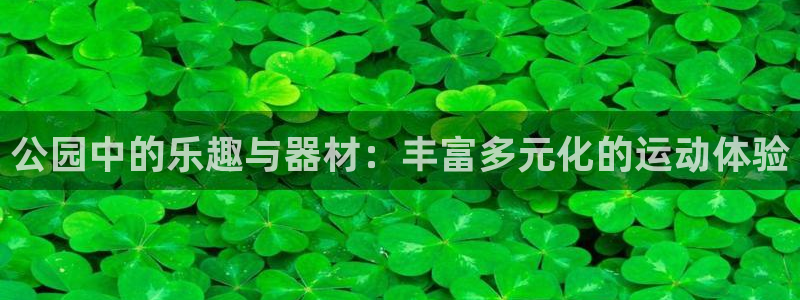 征途国际新能源：公园中的乐趣与器材：丰富多元化的运动