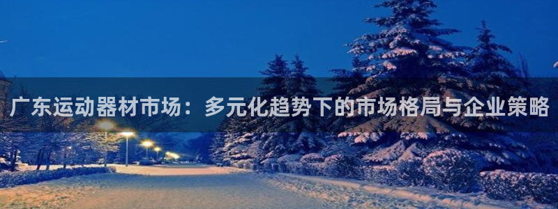 征途国际招商电话地址查询：广东运动器材市场：多元化趋