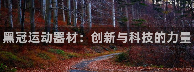 征途国际招商电话号码查询是多少：黑冠运动器材：创新与