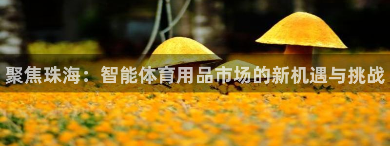 征途国际招商电话号码是多少：聚焦珠海：智能体育用品市