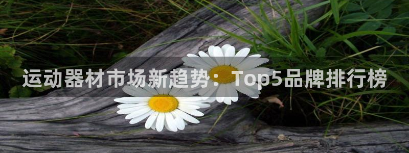 征途国际娱乐代理怎么样：运动器材市场新趋势：Top5