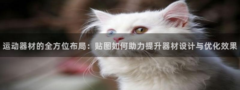 征途国际平台是正规平台吗安全吗：运动器材的全方位布局