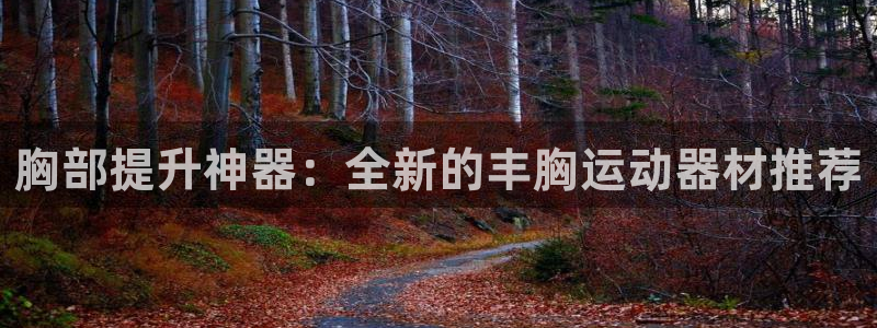 注册征途国际：胸部提升神器：全新的丰胸运动器材推荐