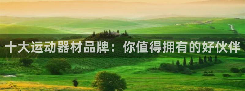 征途国际娱乐40996：十大运动器材品牌：你值得拥有的好伙伴