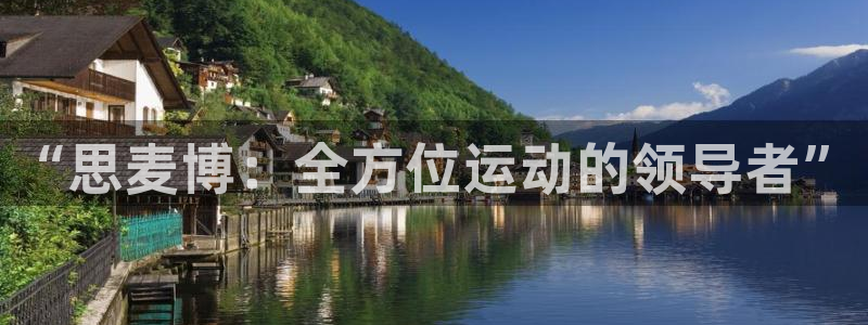 征途国际新能源