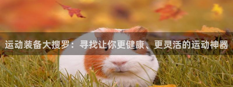 征途国际招商电话是多少号码